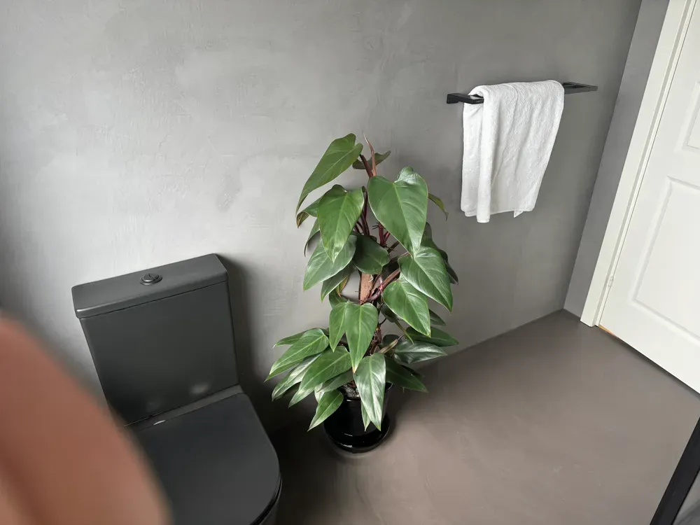 Microcement badeværelse badeværelsesmøbel, toilet fra Lavabo, håndklædestang fra Grohe